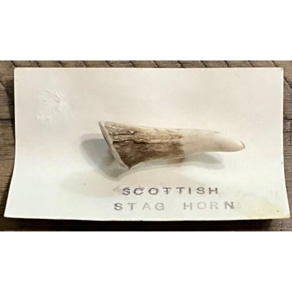 Real Stag Horn Tip Scottish Traditional Celtic Kilt Pin - Picture 2 of 4